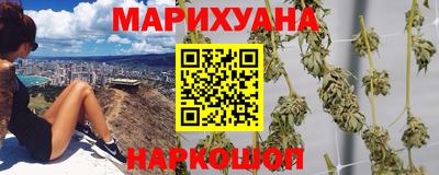 сатива Кулебаки